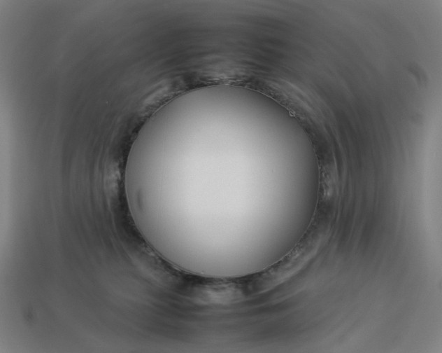 X0000113370279200910061106
