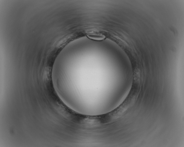 X0000113370280200910061106