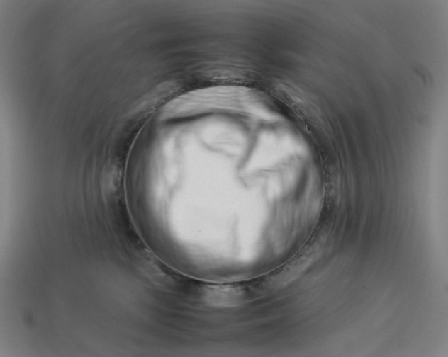 X0000113370281200910061106