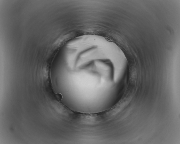 X0000113370282200910061106