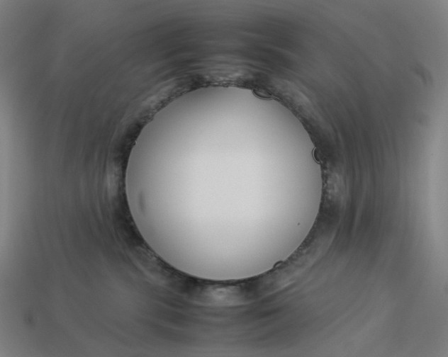 X0000113370283200910061106