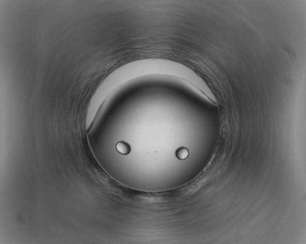 X0000113370284200910061106