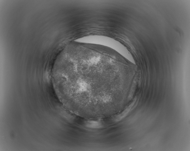 X0000113370285200910061106