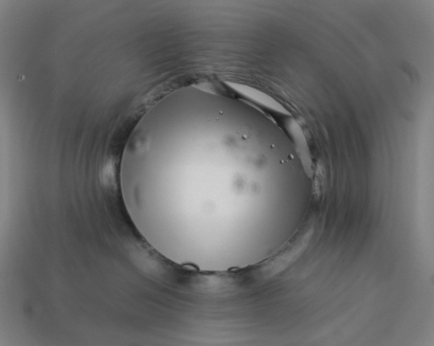 X0000113370286200910061106