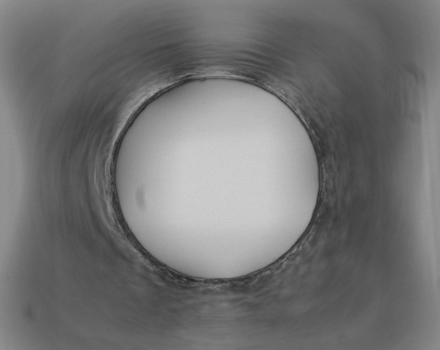X0000113370289200910061106