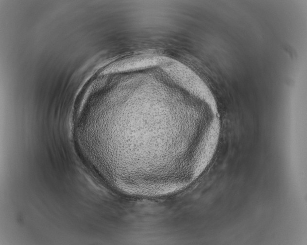 X0000113370290200910061106