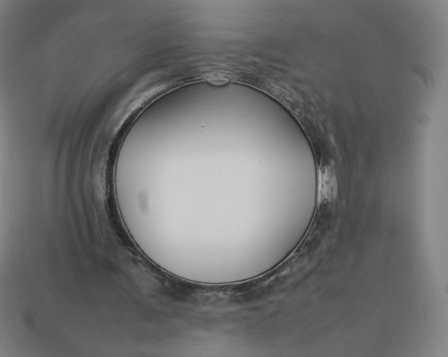 X0000113370291200910061106