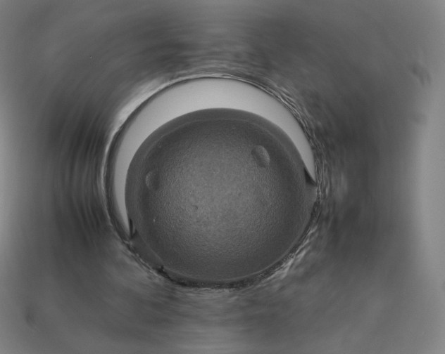 X0000113370292200910061106