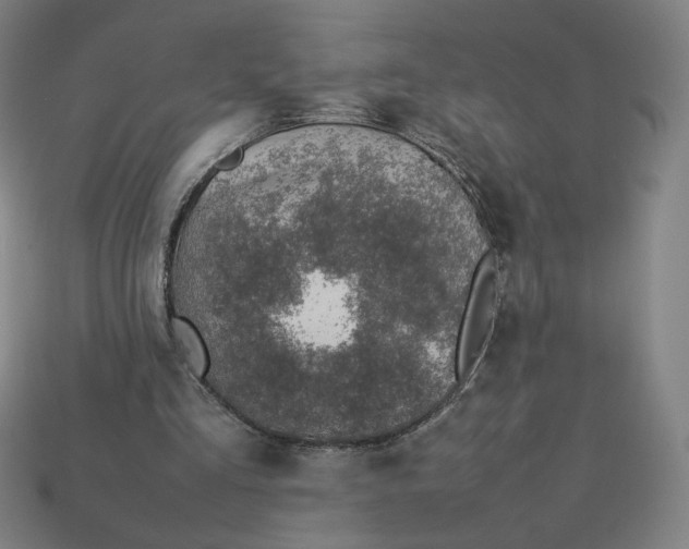 X0000113370293200910061106