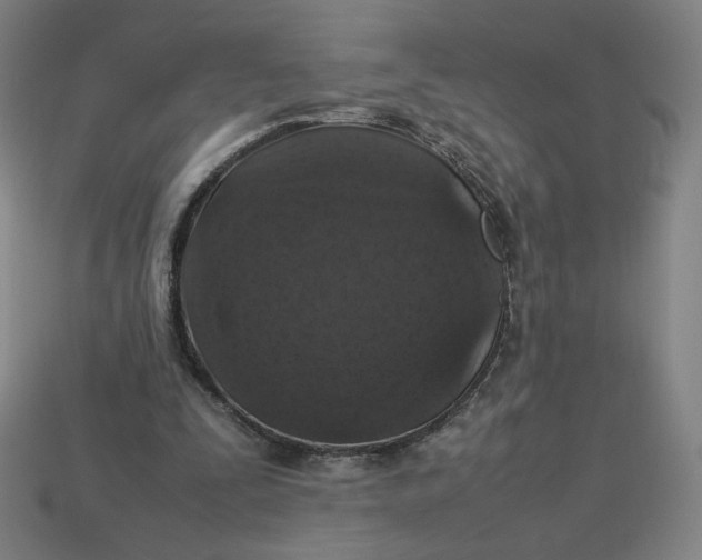 X0000113370295200910061106