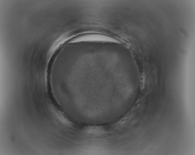 X0000113370296200910061106