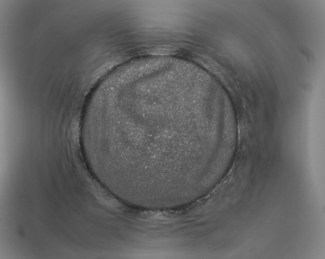 X0000113370297200910061106