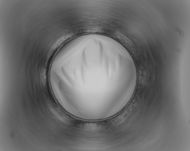 X0000113370298200910061106