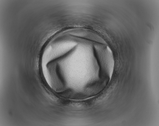 X0000113370299200910061106