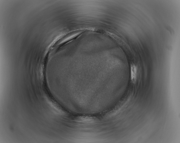 X0000113370300200910061106