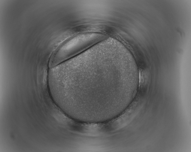 X0000113370301200910061106
