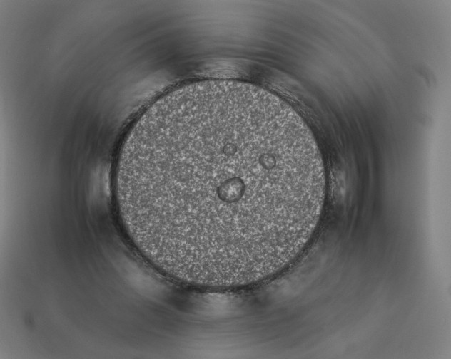X0000113370302200910061106