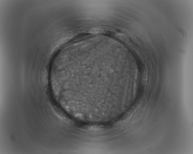 X0000113370303200910061106