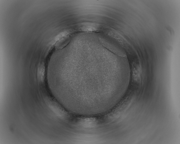 X0000113370304200910061106