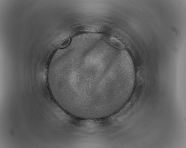 X0000113370305200910061106