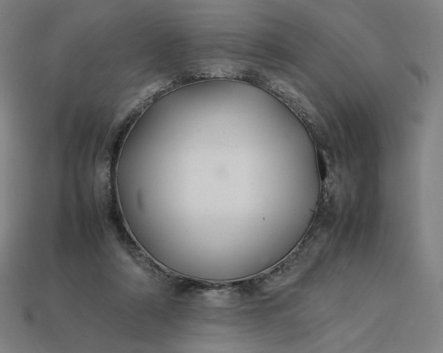 X0000113370306200910061106