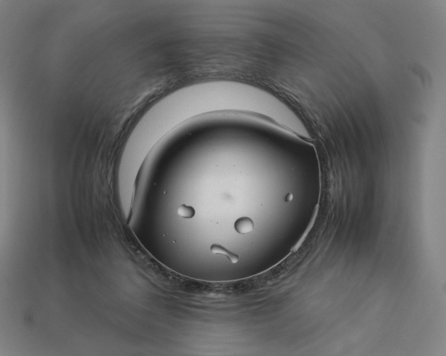 X0000113370308200910061106