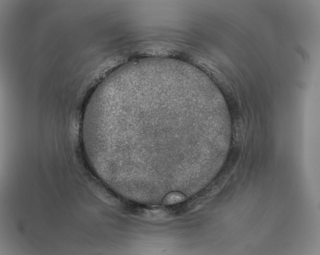 X0000113370309200910061106
