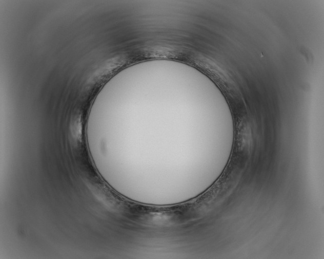 X0000113370310200910061106