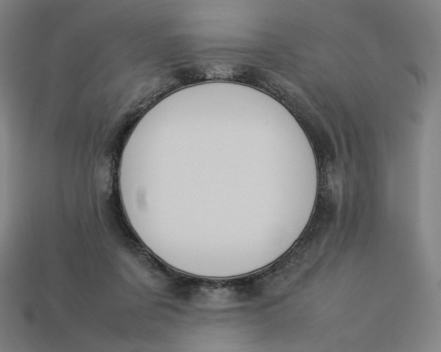 X0000113370311200910061106