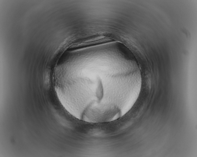 X0000113370312200910061106