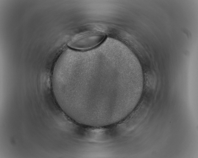 X0000113370313200910061106