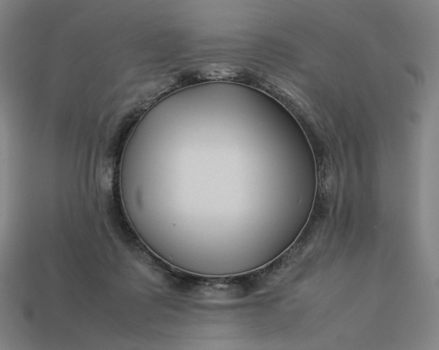 X0000113370315200910061106