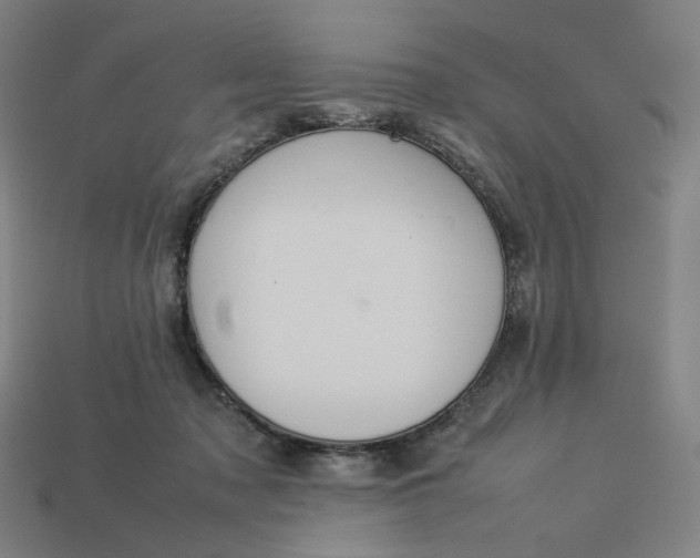 X0000113370317200910061106