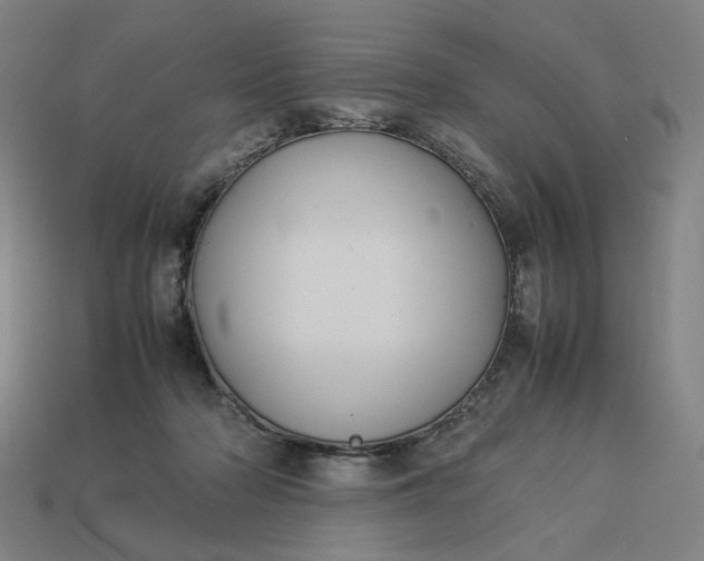 X0000113370318200910061106