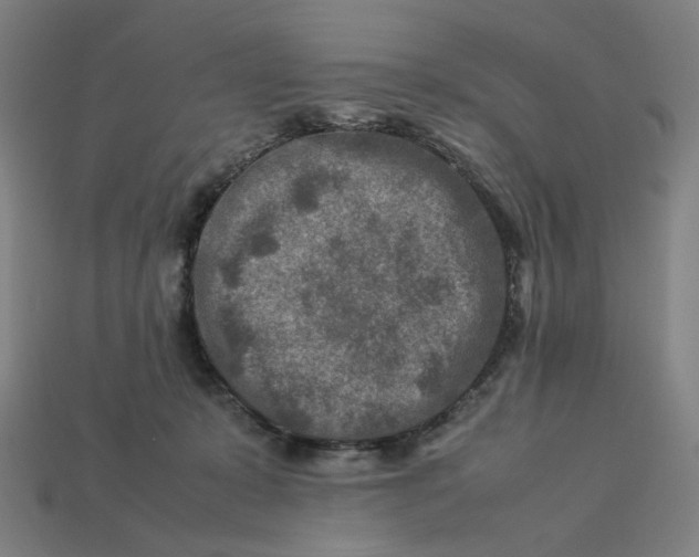 X0000113370319200910061106