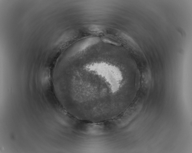 X0000113370320200910061106