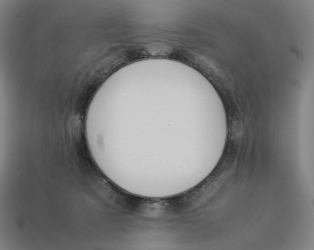 X0000113370321200910061105