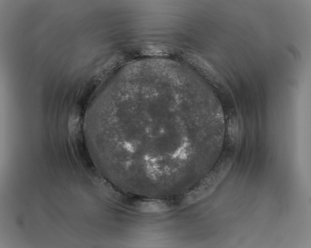 X0000113370322200910061105