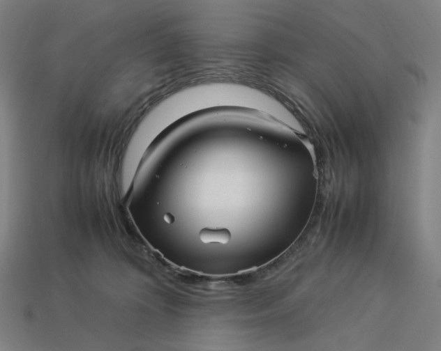 X0000113370324200910061105