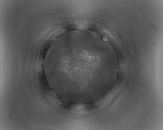 X0000113370325200910061105