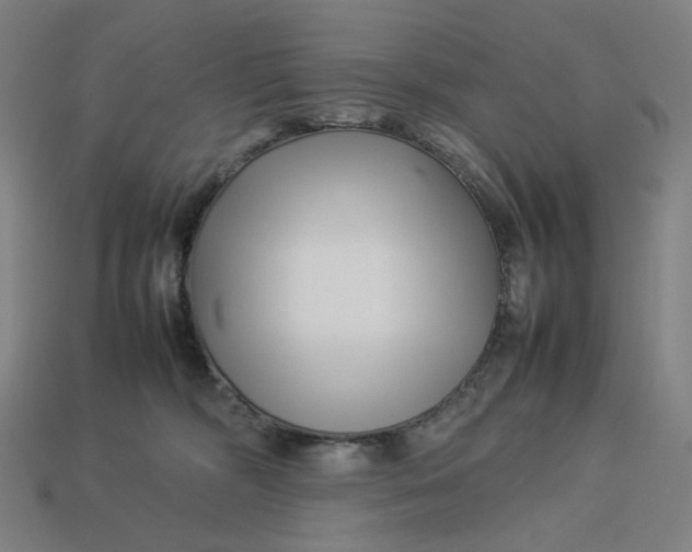 X0000113370326200910061105