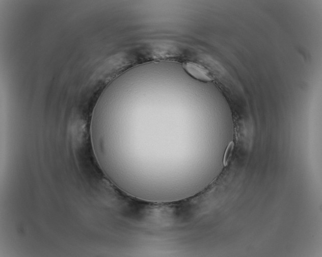 X0000113370327200910061105