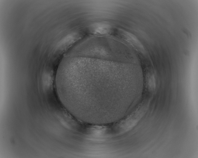 X0000113370328200910061105