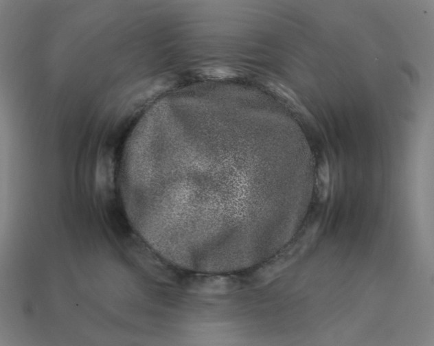 X0000113370330200910061105