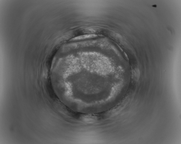 X0000113370331200910061105