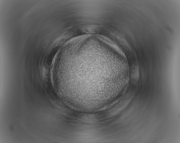 X0000113370332200910061105