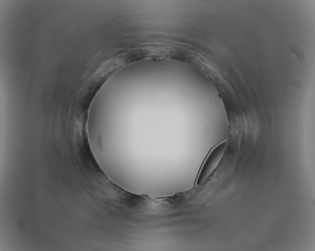 X0000113370333200910061105