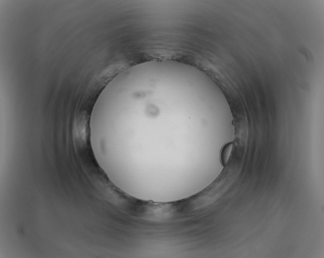 X0000113370334200910061105