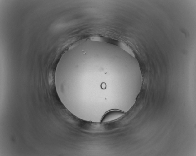 X0000113370335200910061105