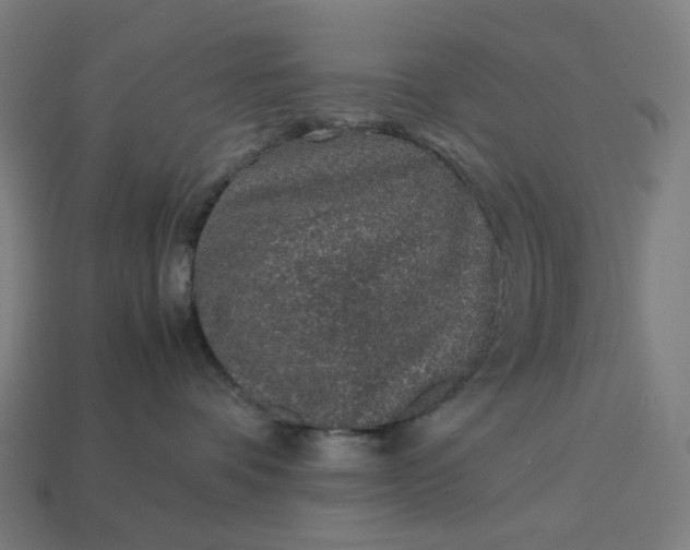 X0000113370336200910061105